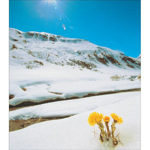 星空无限传媒国产剧情
